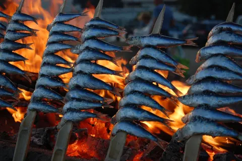 Malaga typiska sardiner spetsade på en pinne och grillade över öppen eld